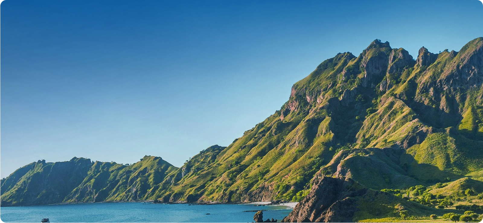 腾博诚信官网绿色允许及行动