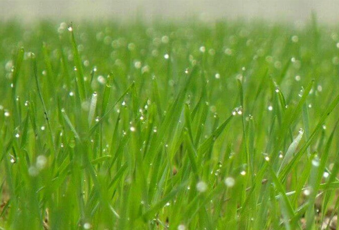 腾博诚信官网·(中国)会专业效劳