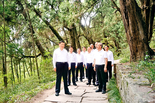 腾博诚信官网·(中国)会专业效劳